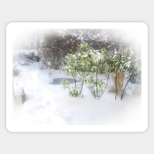 Fresh snow in garden with heart shaped pond Sticker